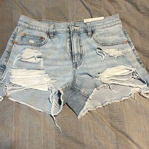 American Eagle 90s Boyfriend Jean Shorts